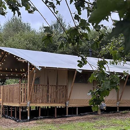 Talaton Cherry Tree Safari Lodge מראה חיצוני תמונה